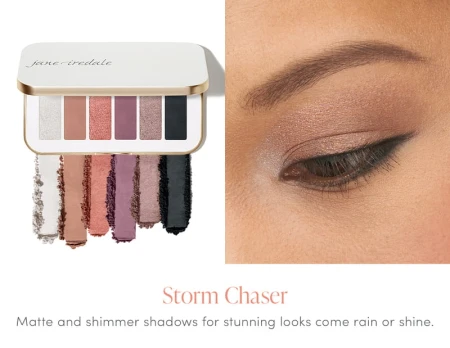 Storm Chaser eye look and swatches with silver, taupe, pale pink, plum grey, platinum and black shades.