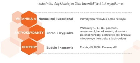Informational graphic describing the active ingredients of the Environ Skin Essentia line and why the products are effective.