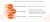 Infographic describing active ingredients in the Environ Skin EssentiA product line.